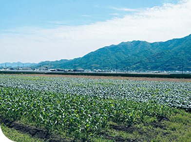 熊本の自然風景